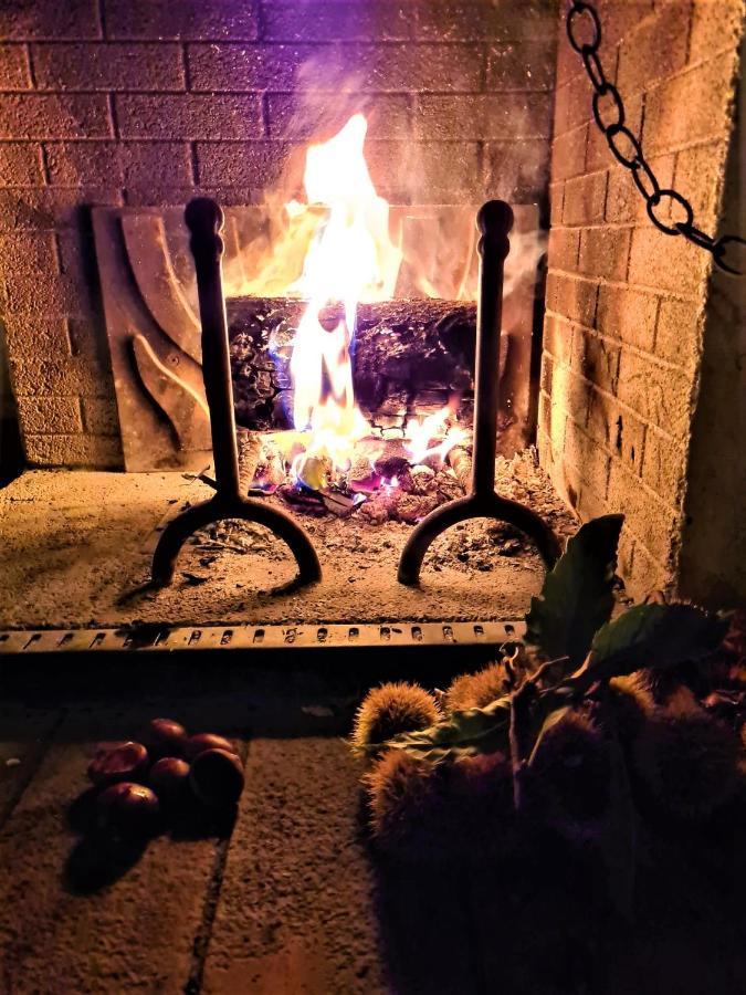 Incantevole Casa Sul Fiume, Relax E Natura Ai Piedi Della Alpi Apuane Massa  Exteriér fotografie